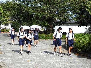DSCN6432 DSCN6432