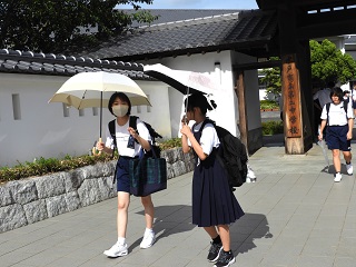 DSCN6425 DSCN6425