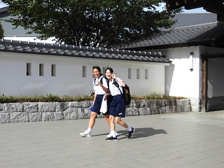 DSCN6429 DSCN6429