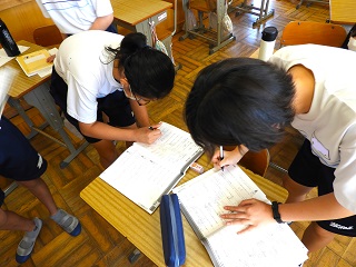 DSCN6563 DSCN6563