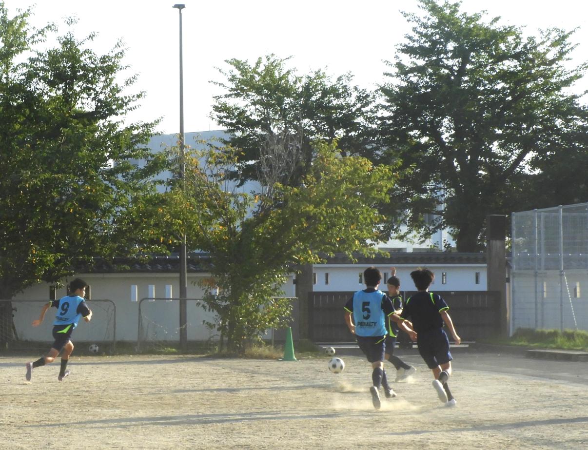 DSCN6783 DSCN6783
