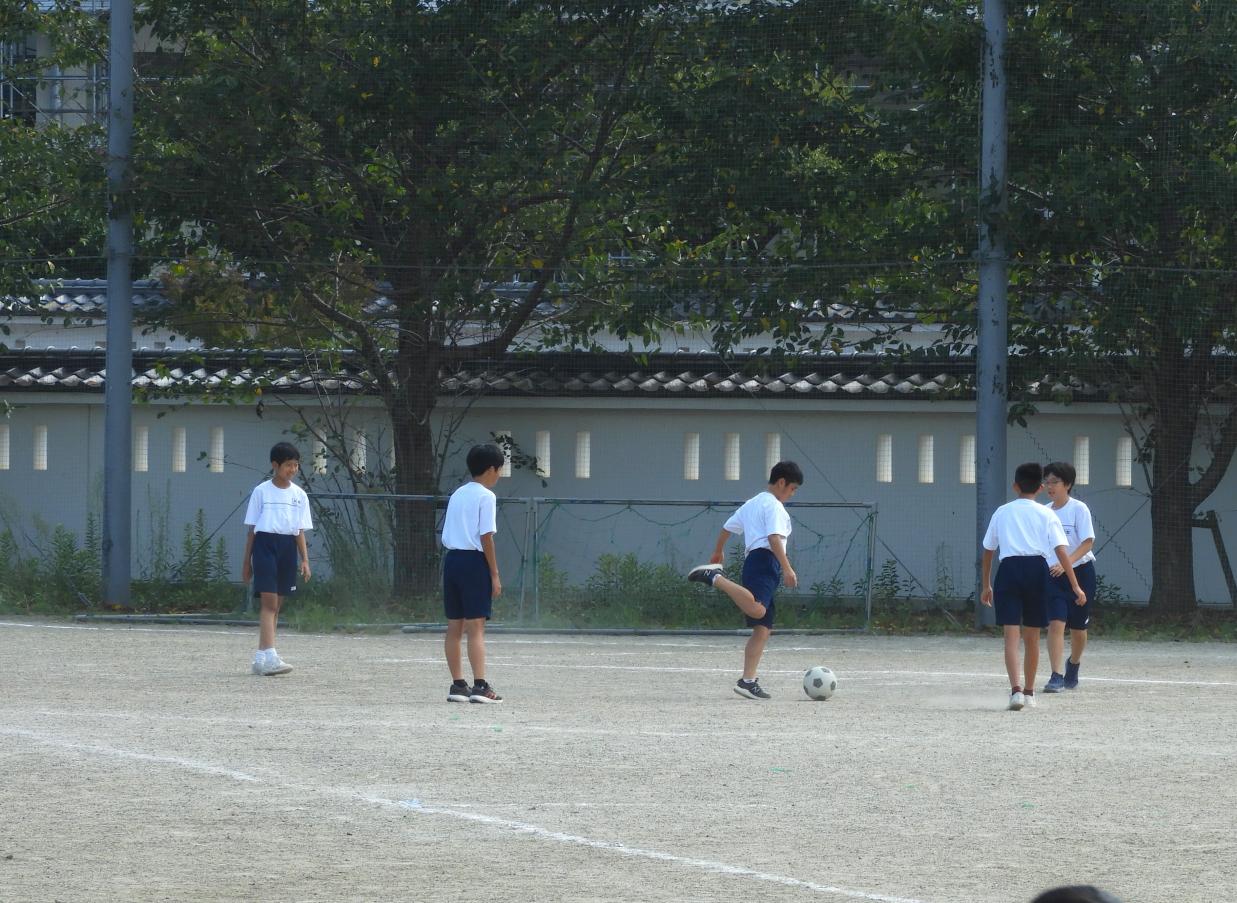 DSCN6871 DSCN6871