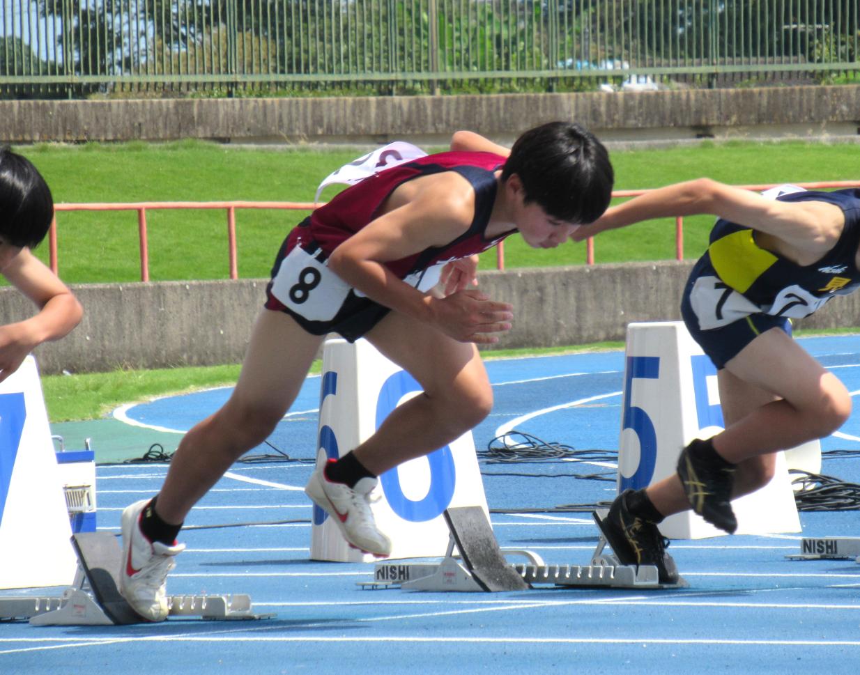 IMG_1542 IMG_1542