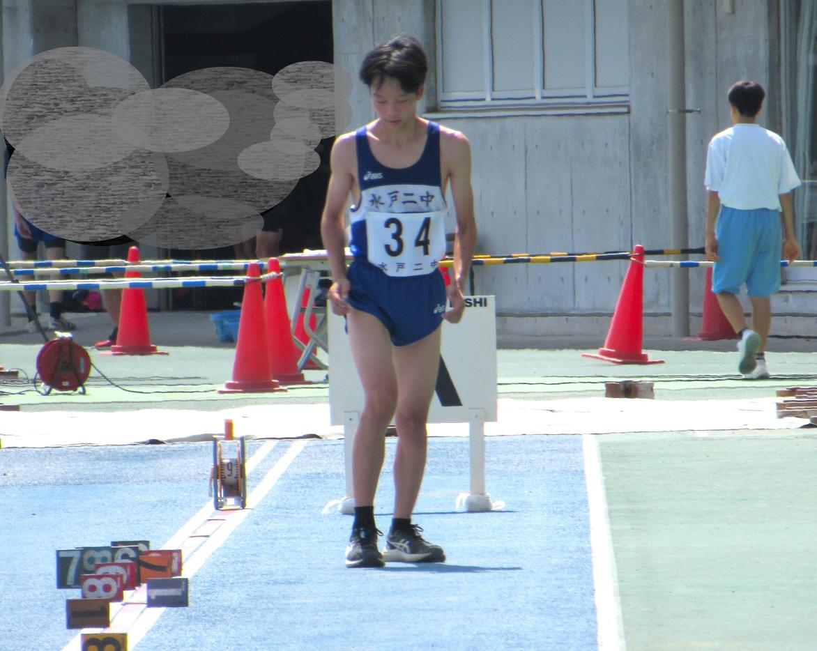 IMG_1556 IMG_1556