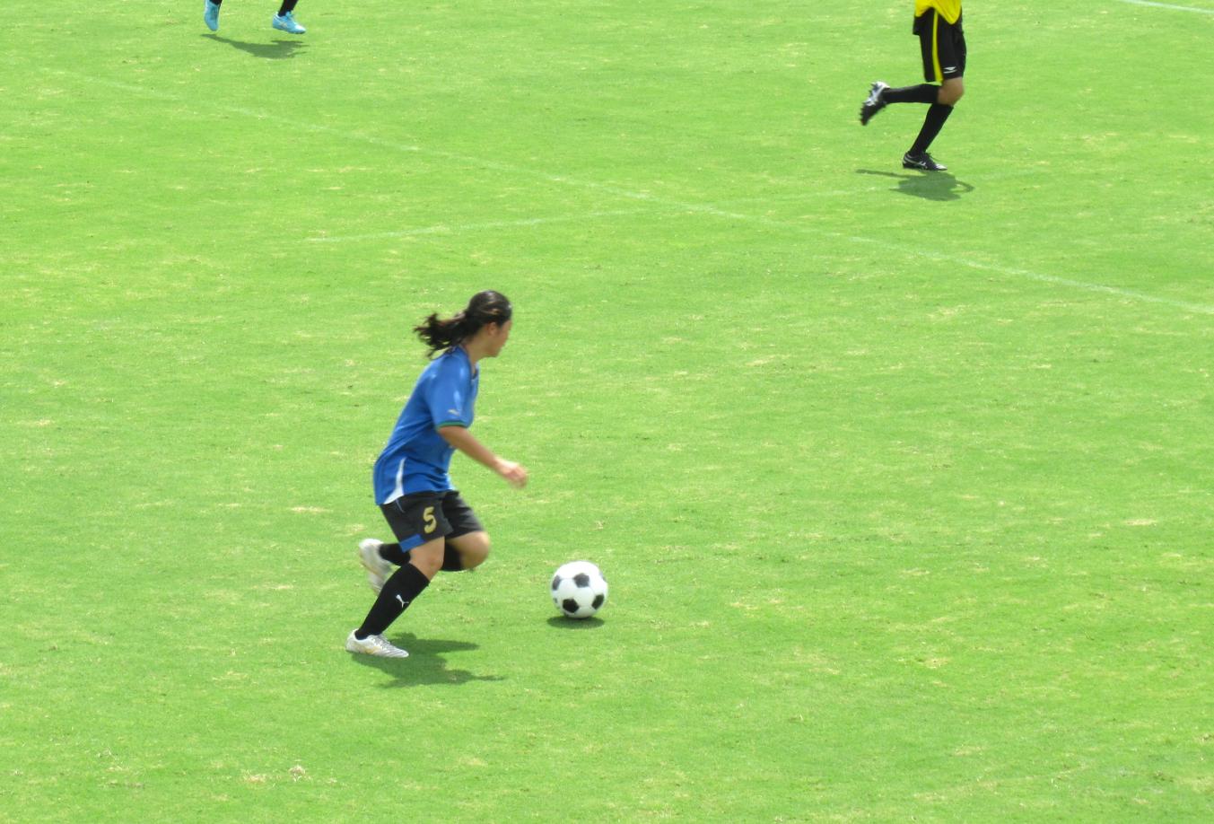 IMG_1742 IMG_1742