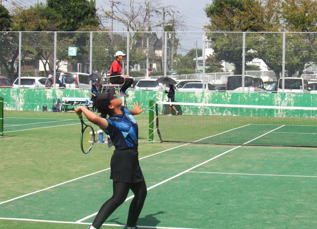 IMG_3606 IMG_3606