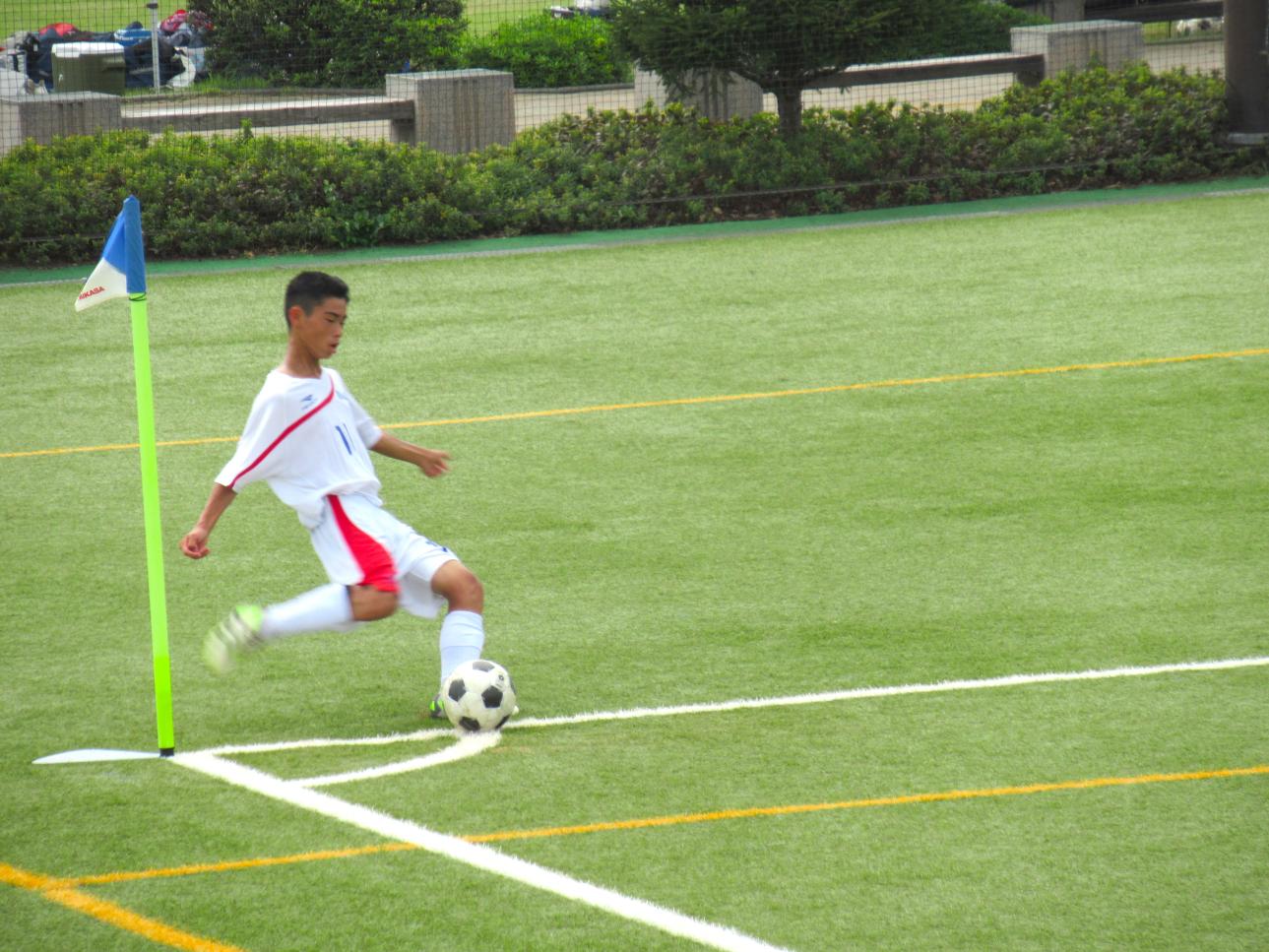 IMG_1919 IMG_1919