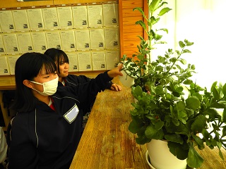 DSCN7500