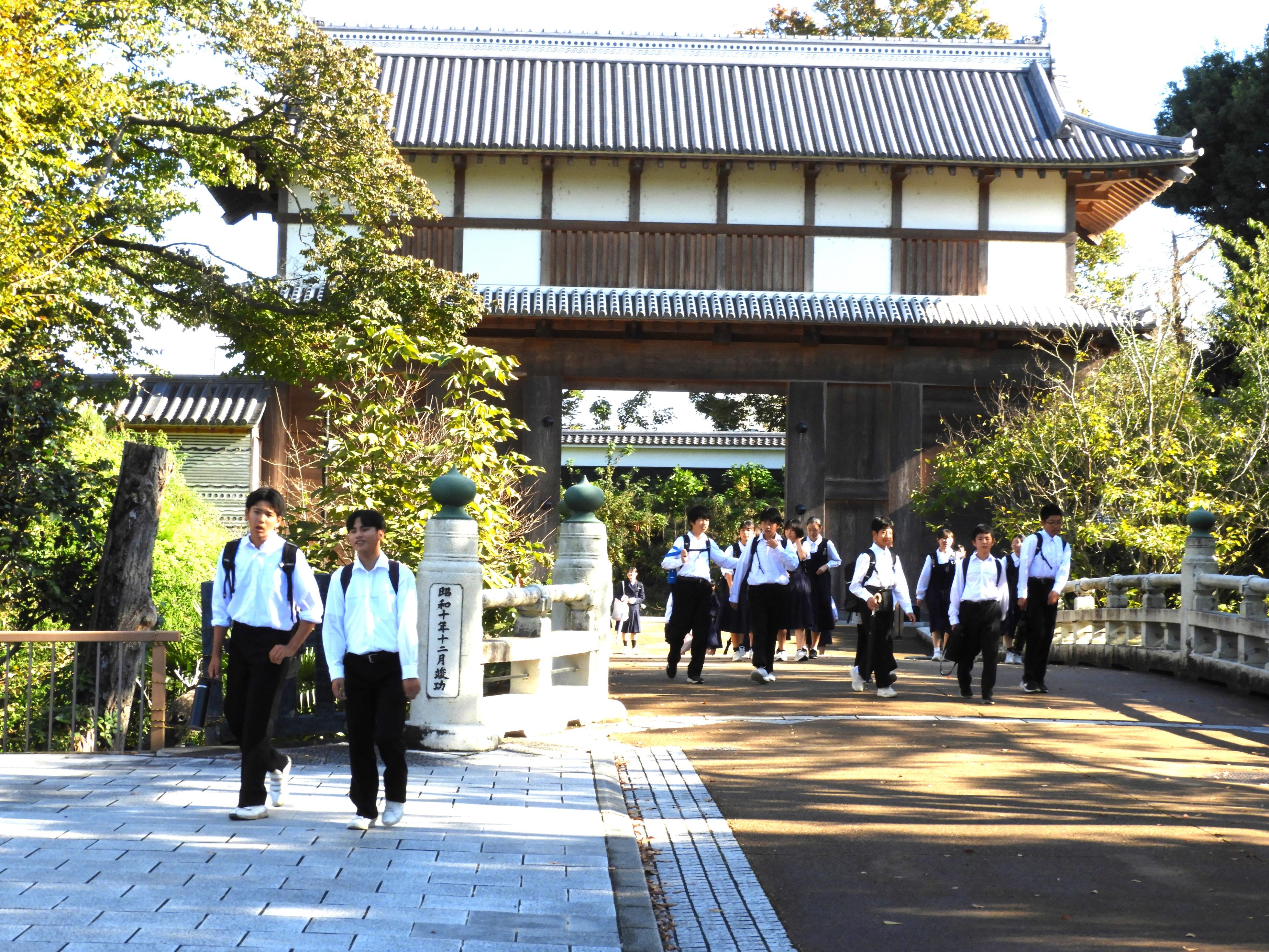 DSCN7883 DSCN7883