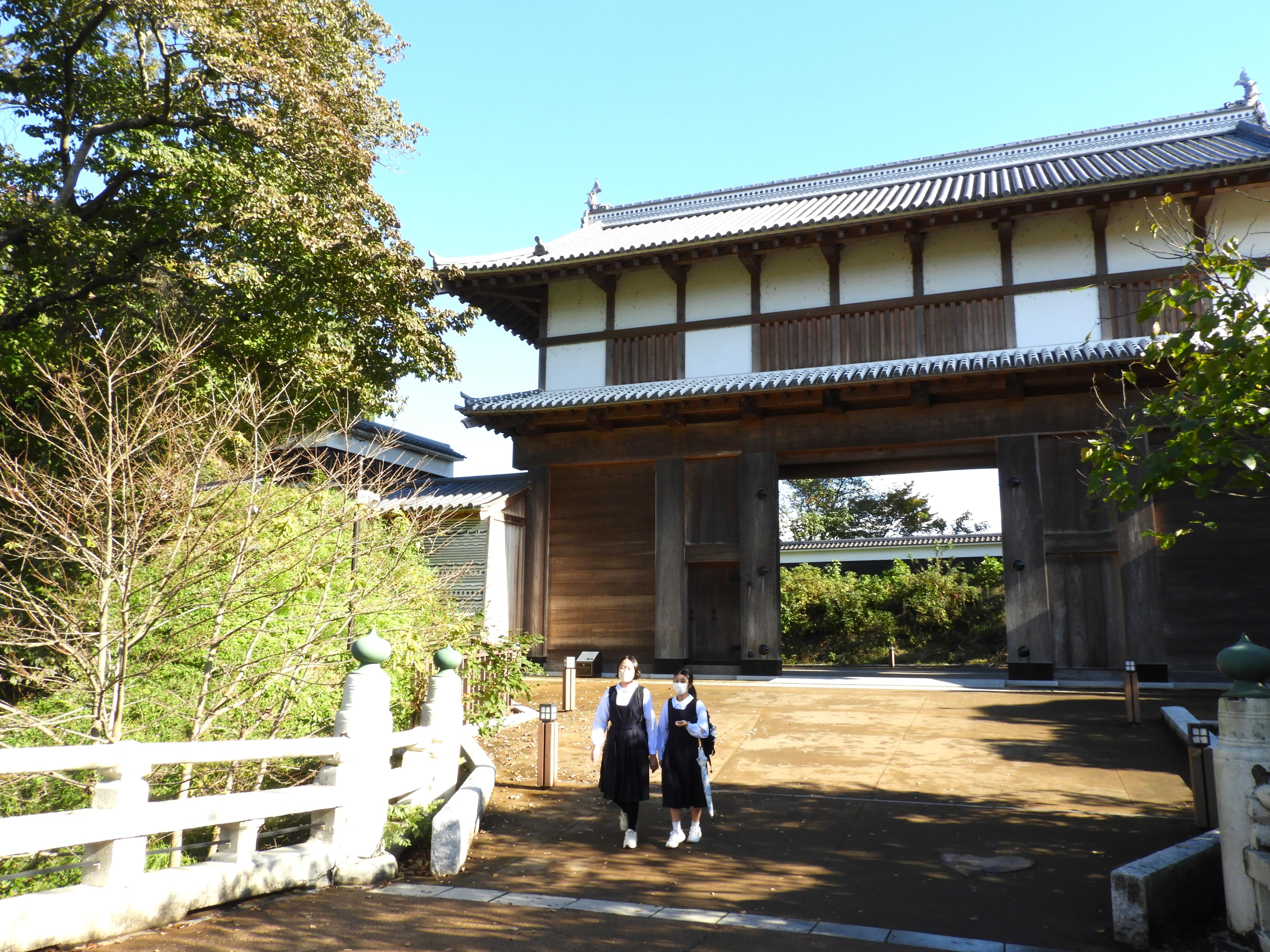 DSCN7871 DSCN7871