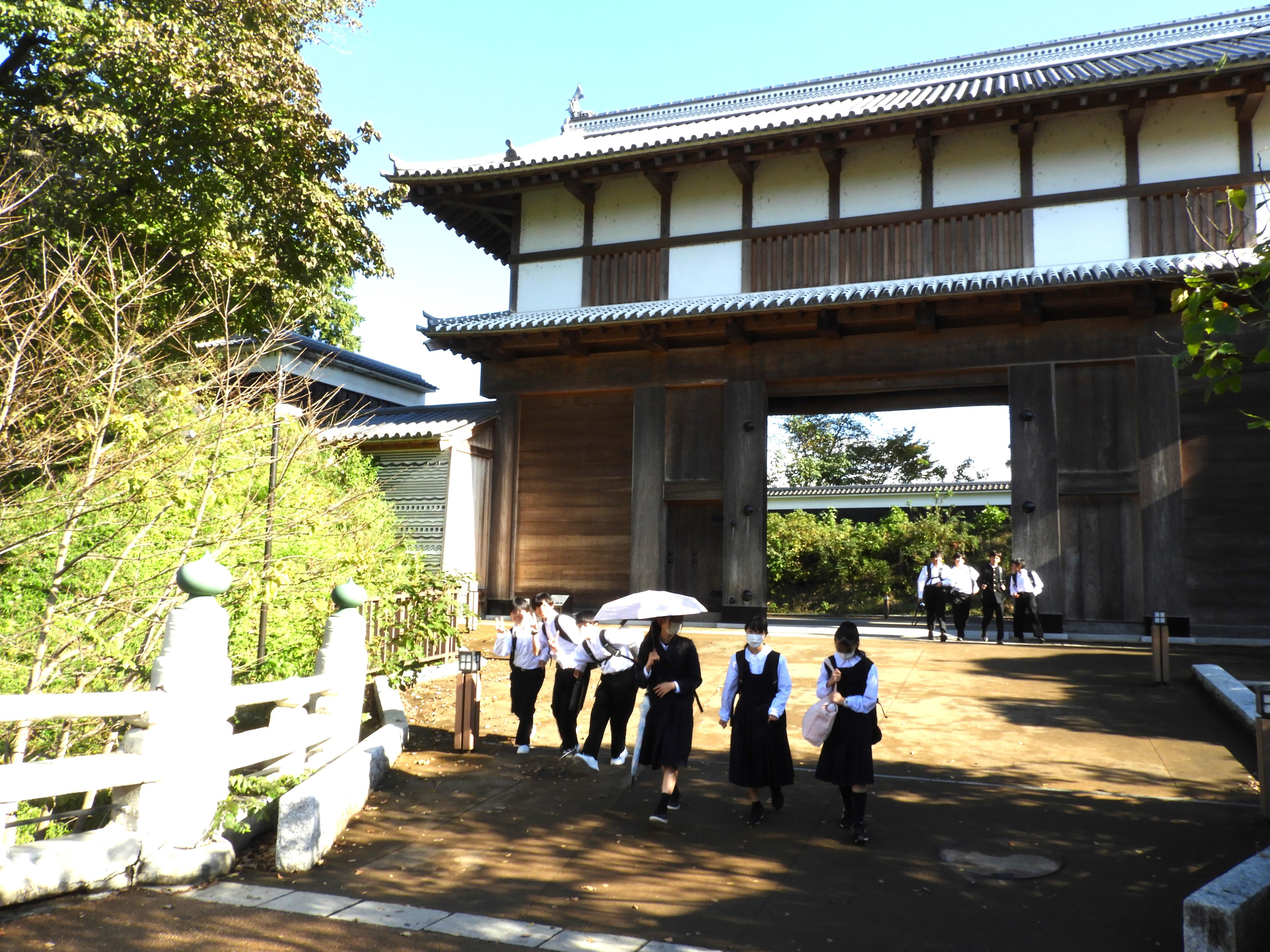 DSCN7872 DSCN7872