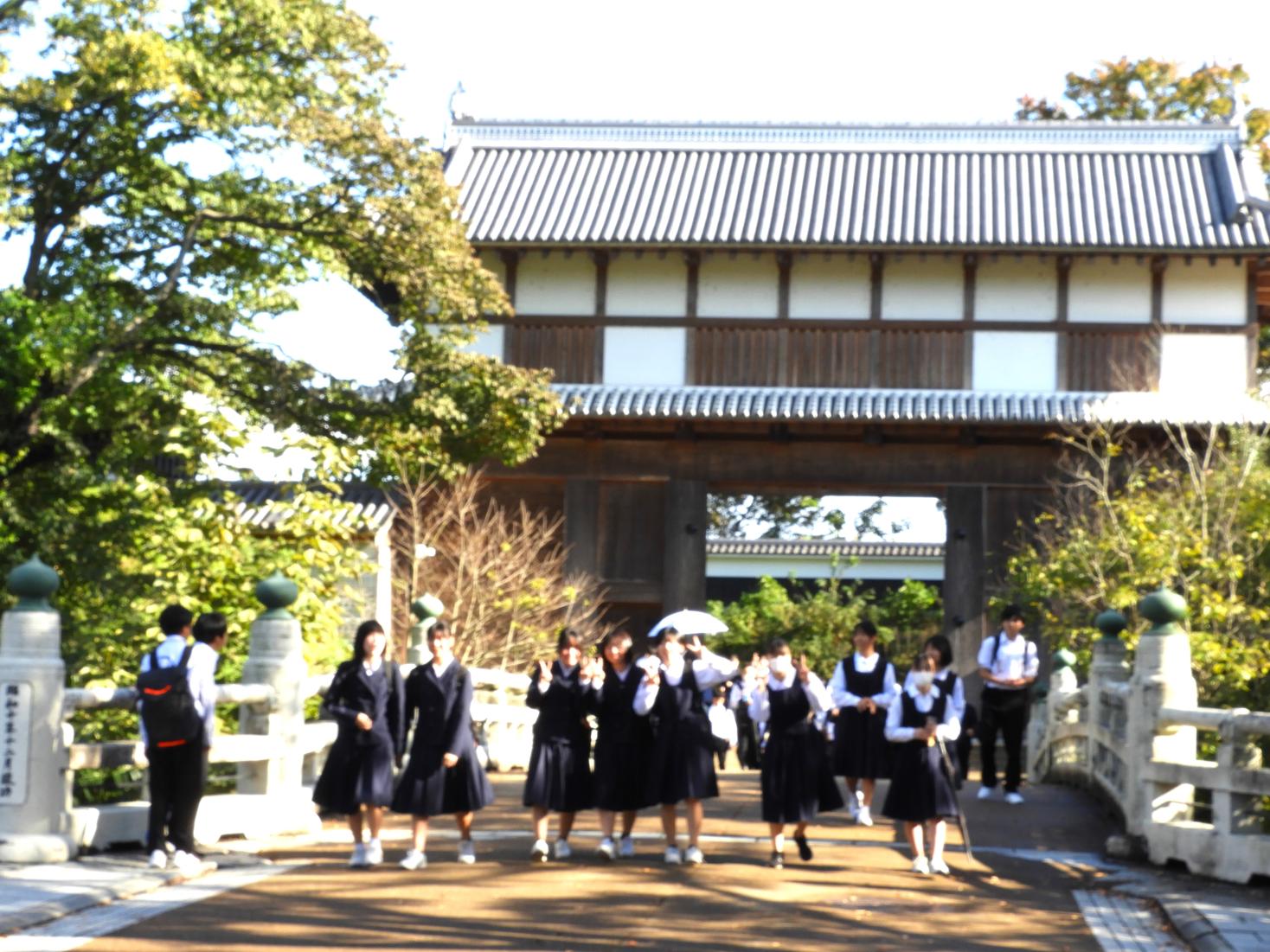DSCN7884 DSCN7884