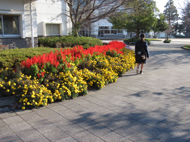 IMG_5853 IMG_5853
