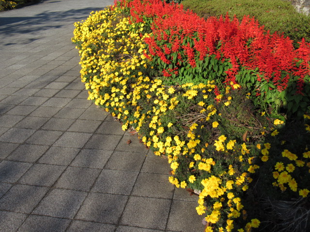 IMG_5858 IMG_5858