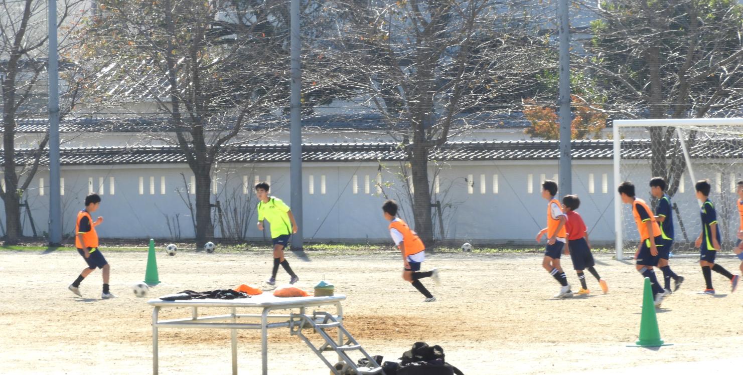 DSCN7933 DSCN7933