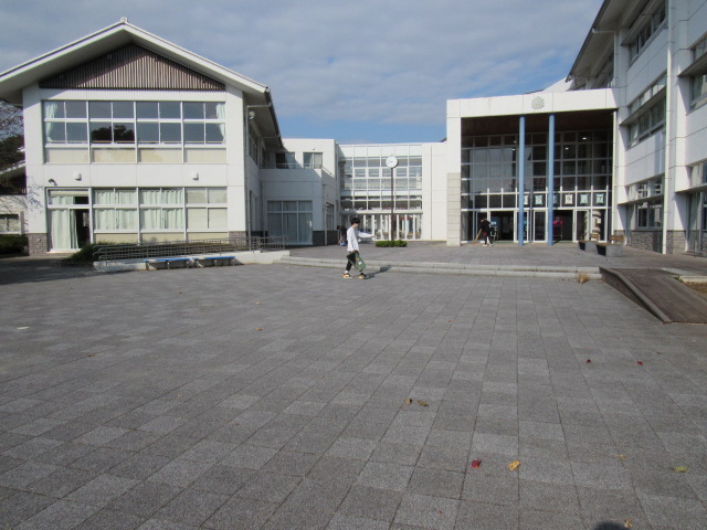 IMG_6110 IMG_6110
