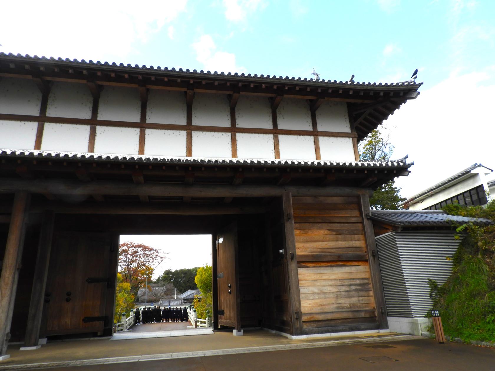 DSCN7987