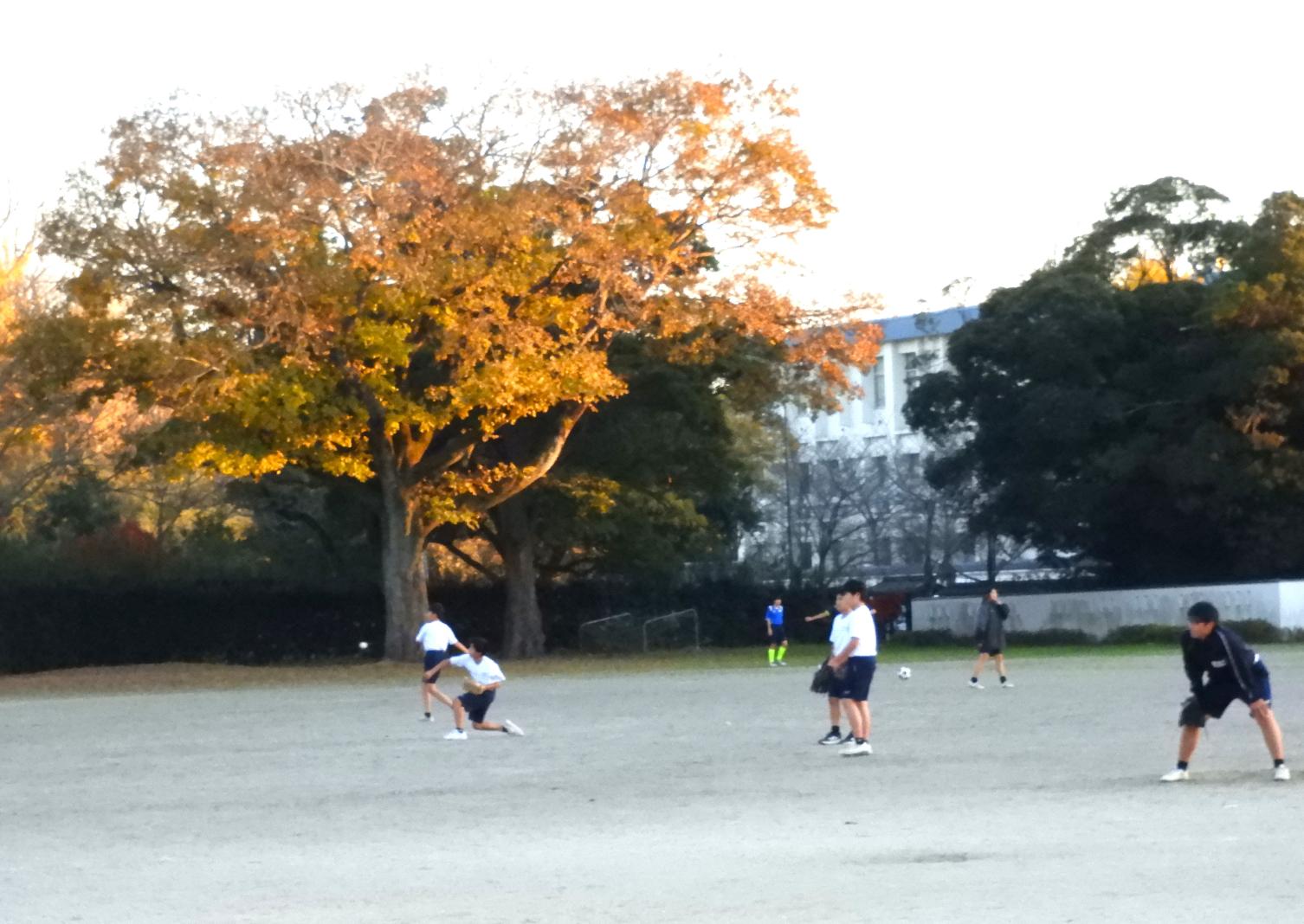 DSCN8285 DSCN8285