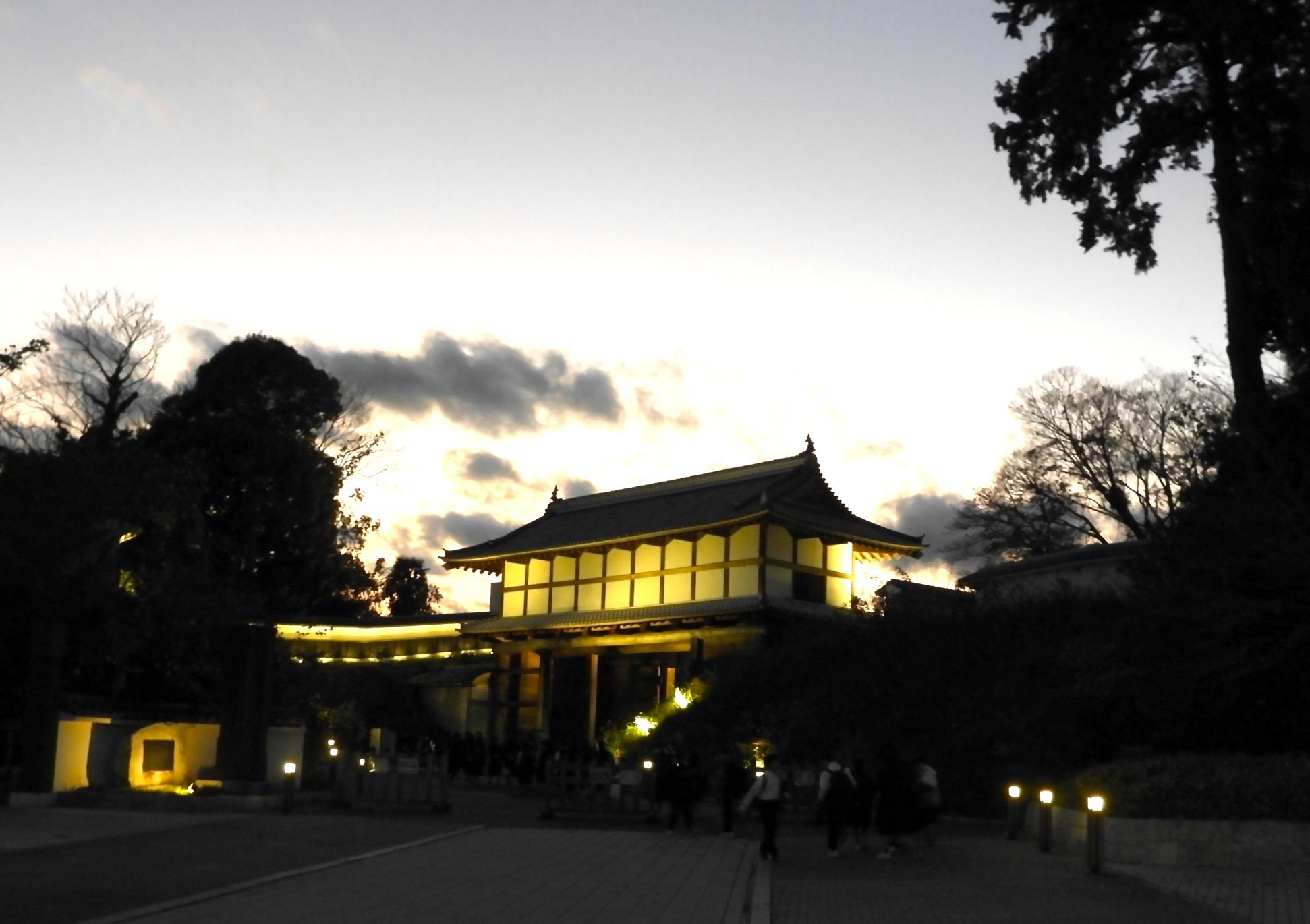 DSCN8316 DSCN8316