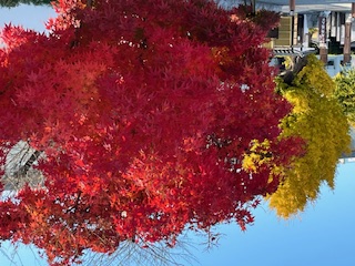 IMG_0884 IMG_0884