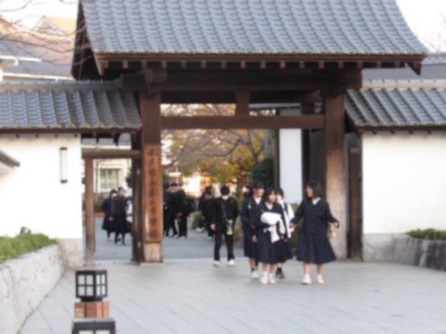 IMG_6348 IMG_6348