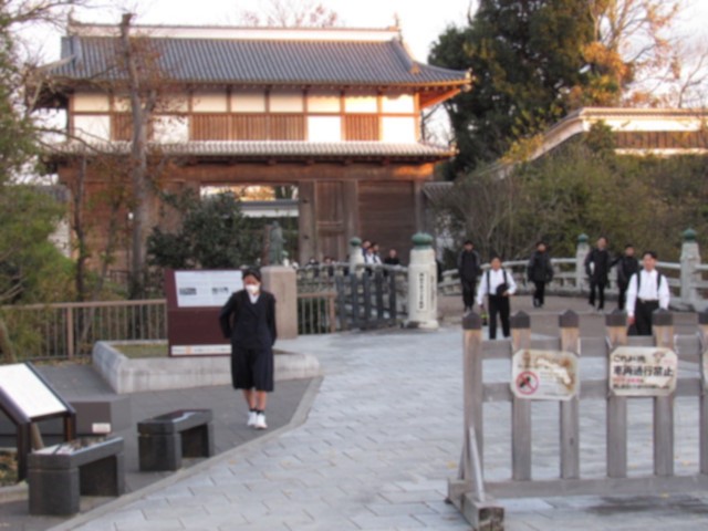 IMG_6354 IMG_6354