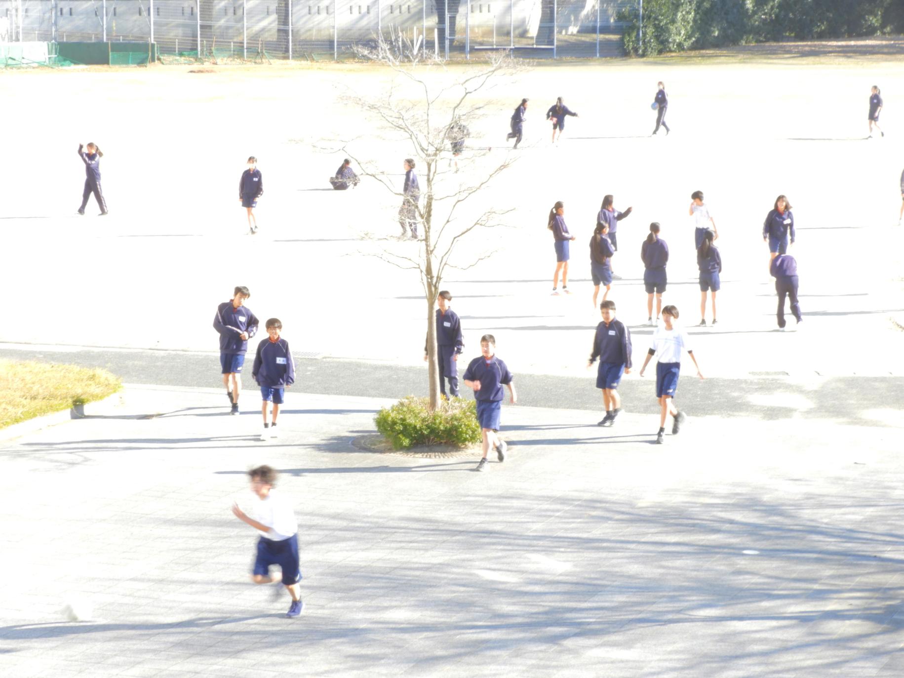 DSCN8482 DSCN8482