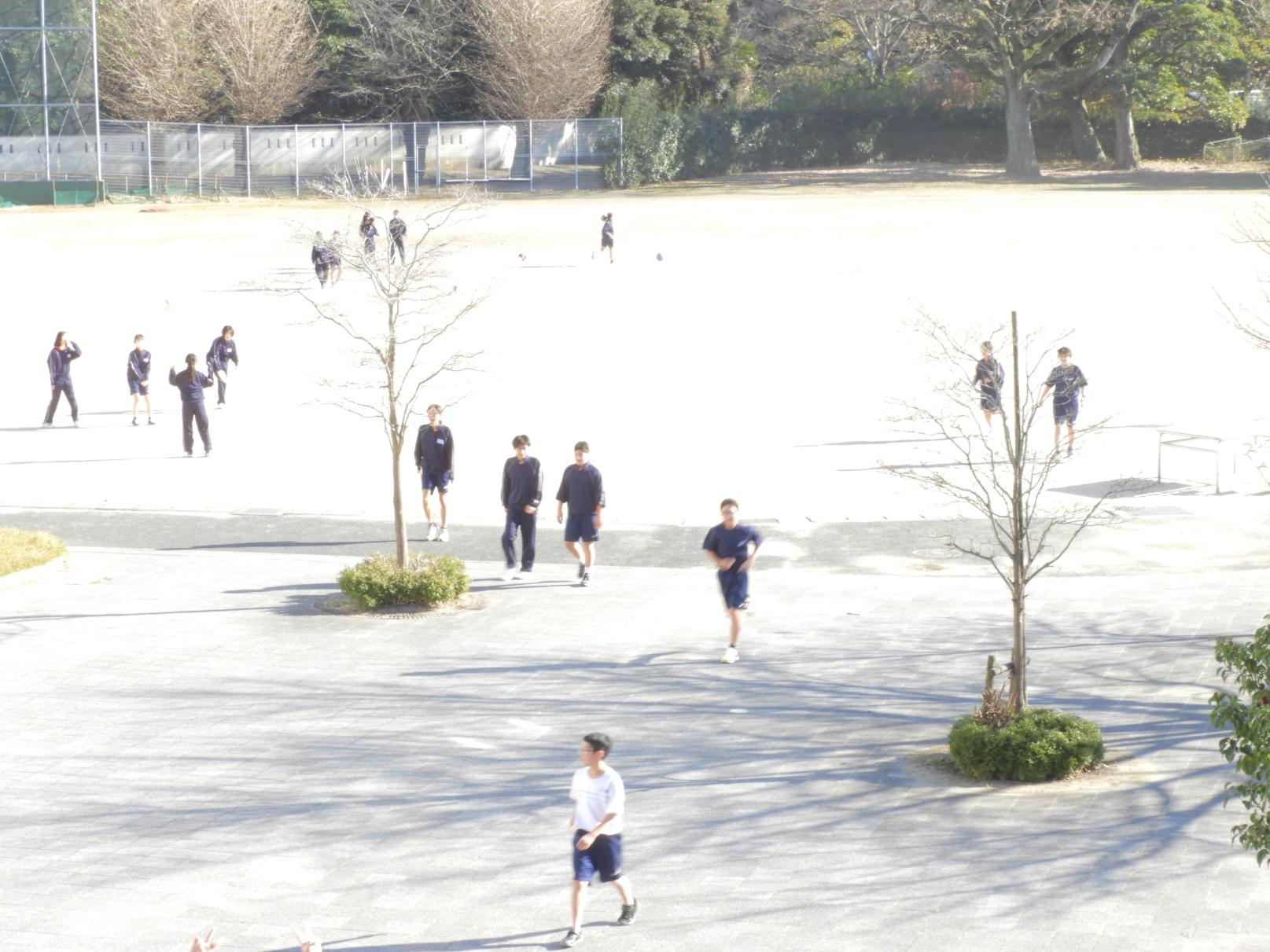 DSCN8485 DSCN8485