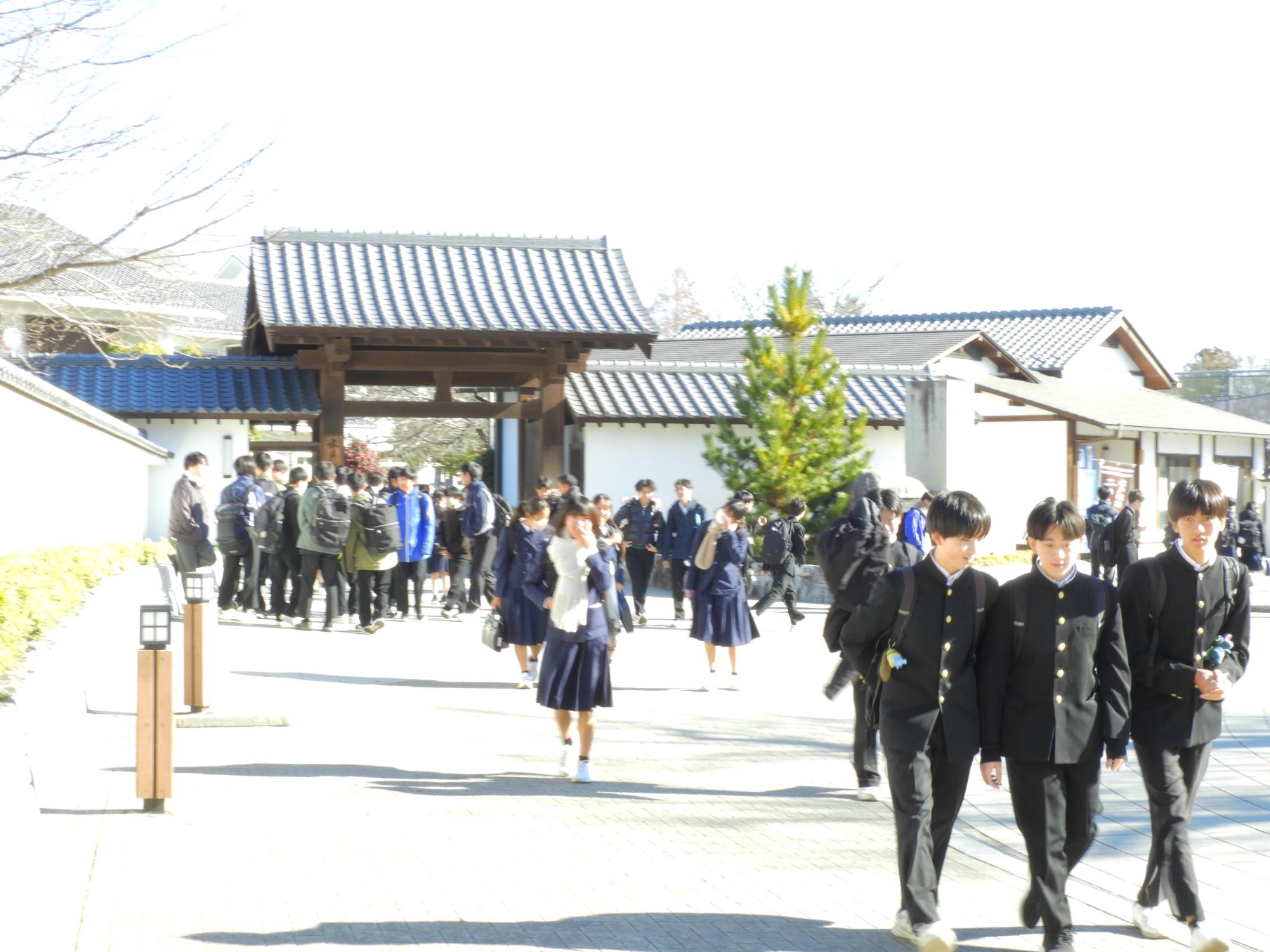 DSCN8582 DSCN8582