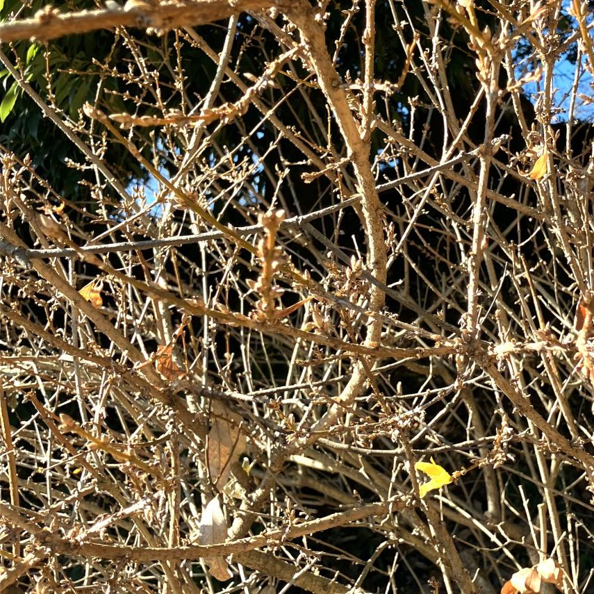image5 (2)