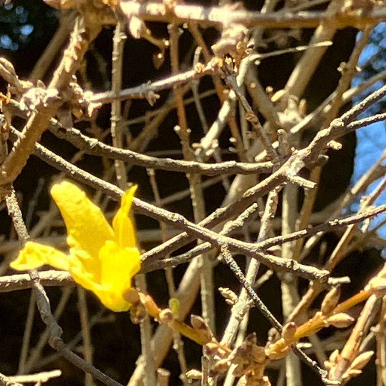 image4