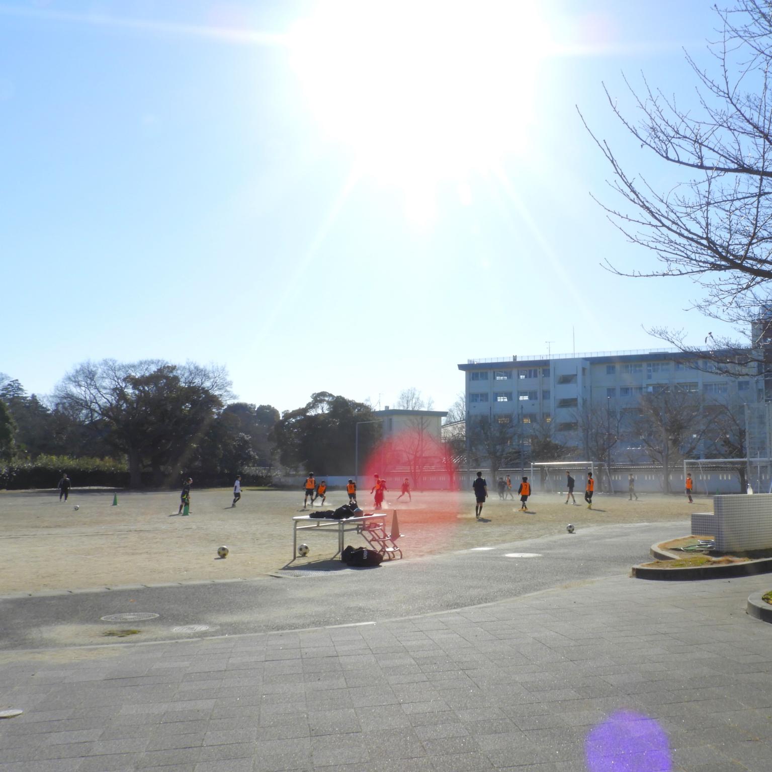 DSCN8735