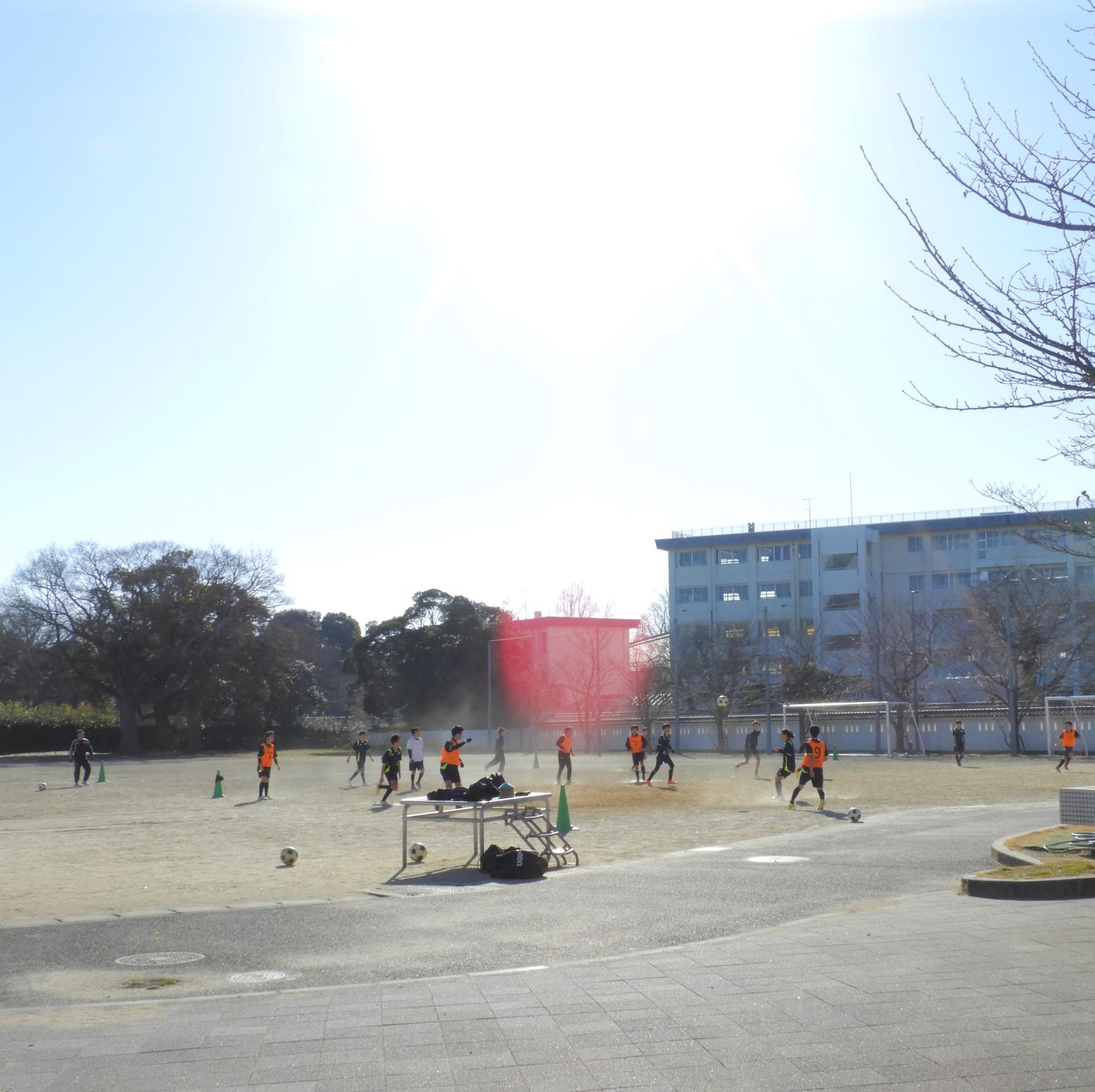 DSCN8733