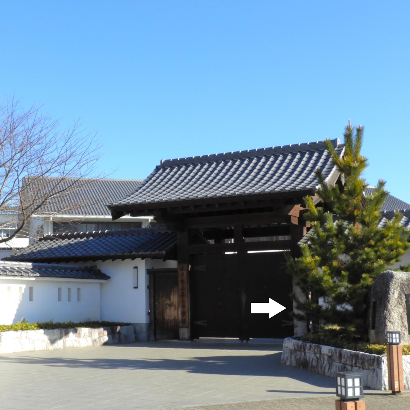 DSCN8721