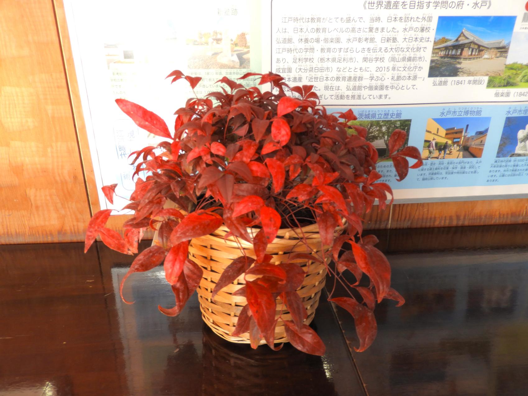 DSCN8844