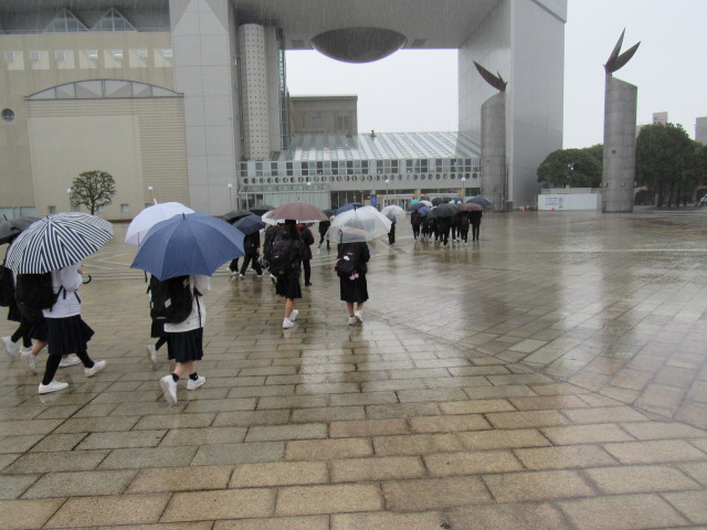IMG_6809 IMG_6809