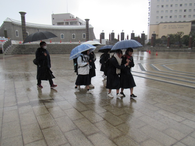 IMG_6811 IMG_6811