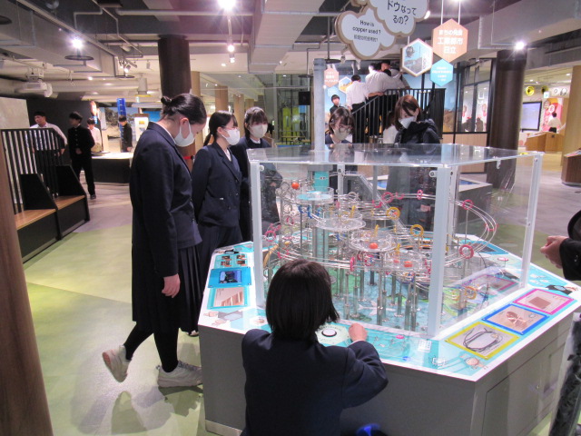IMG_6852 IMG_6852