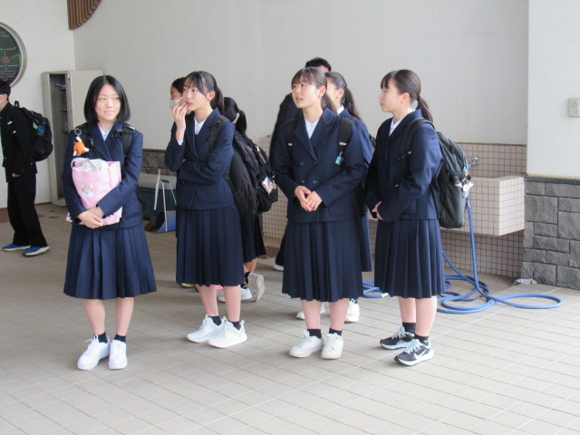IMG_7411 IMG_7411