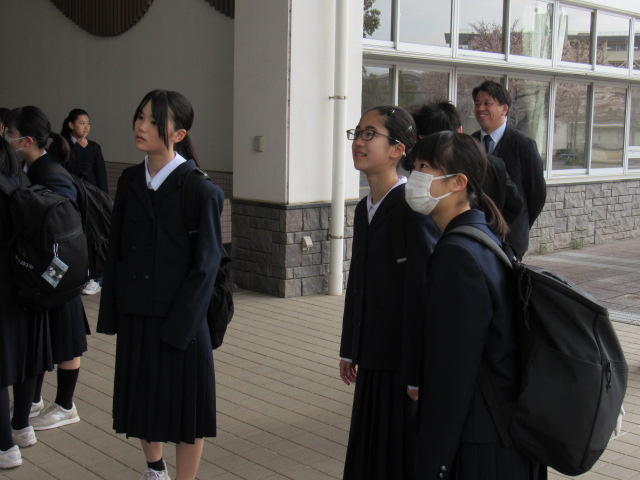 IMG_7412 IMG_7412