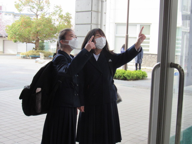 IMG_7435 IMG_7435