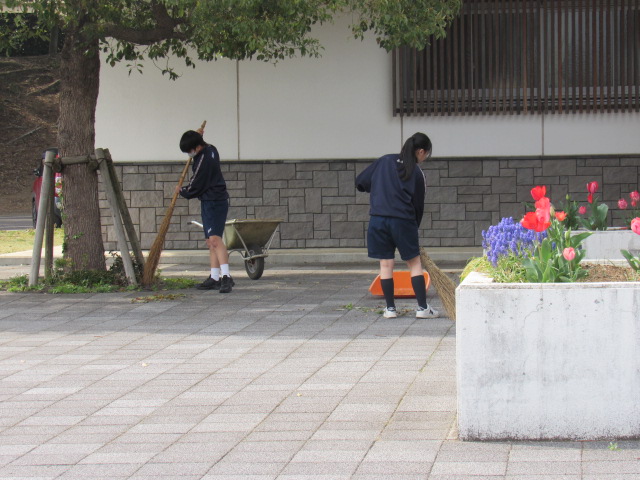 IMG_7471 IMG_7471