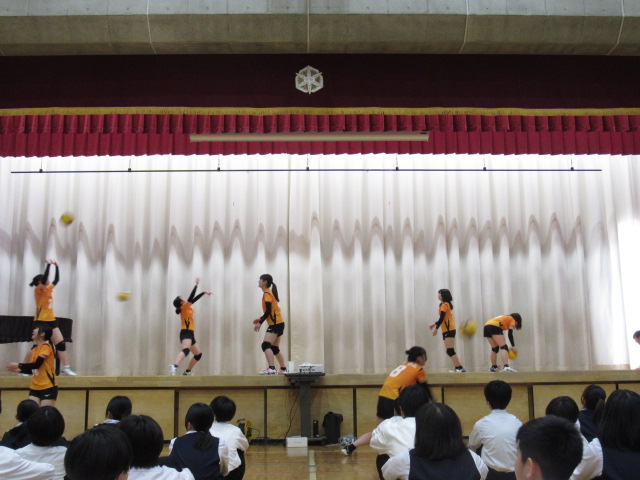 IMG_7601 IMG_7601
