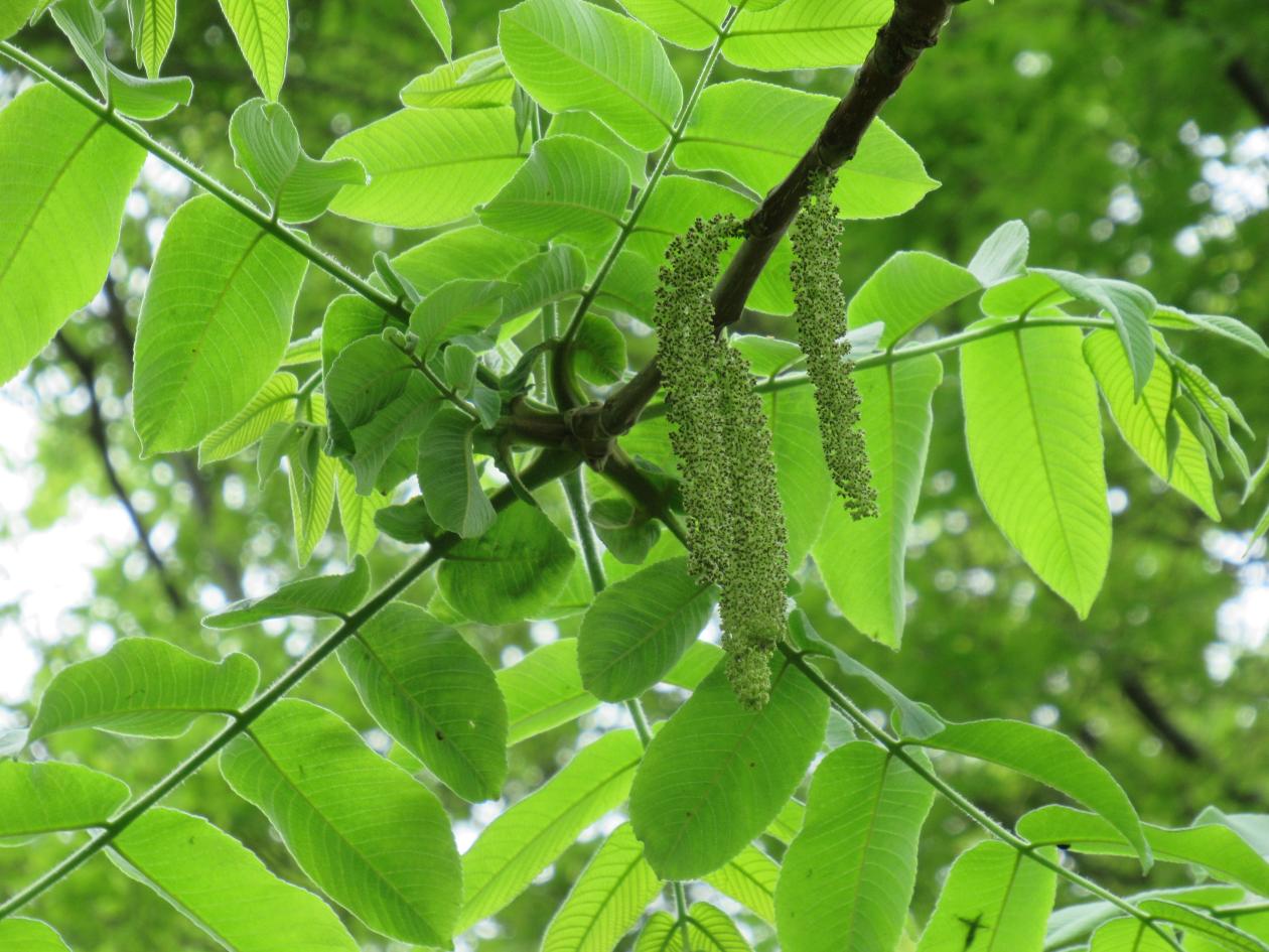 IMG_2253 IMG_2253