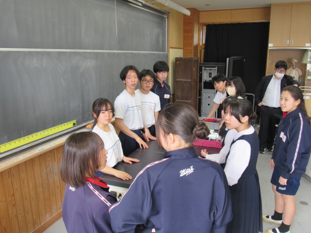 IMG_7668 IMG_7668
