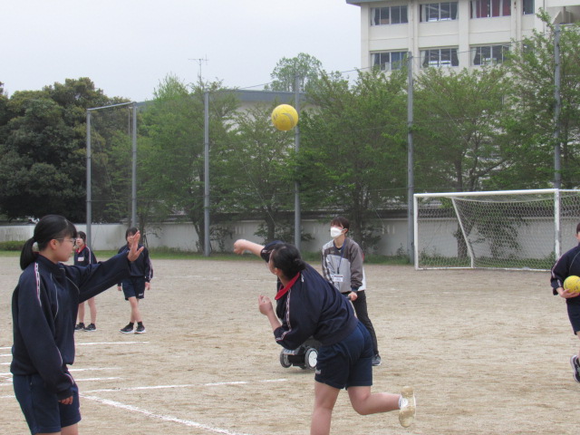 IMG_7674 IMG_7674