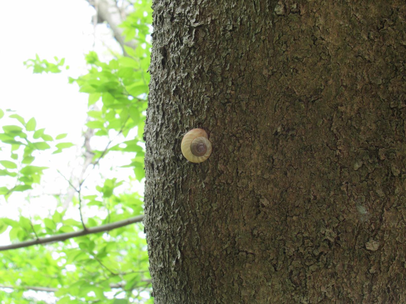 IMG_2295 IMG_2295