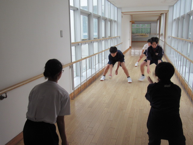 IMG_7766 IMG_7766