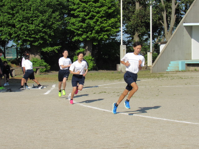 IMG_7817 IMG_7817