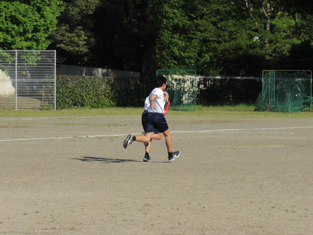 IMG_7819 IMG_7819